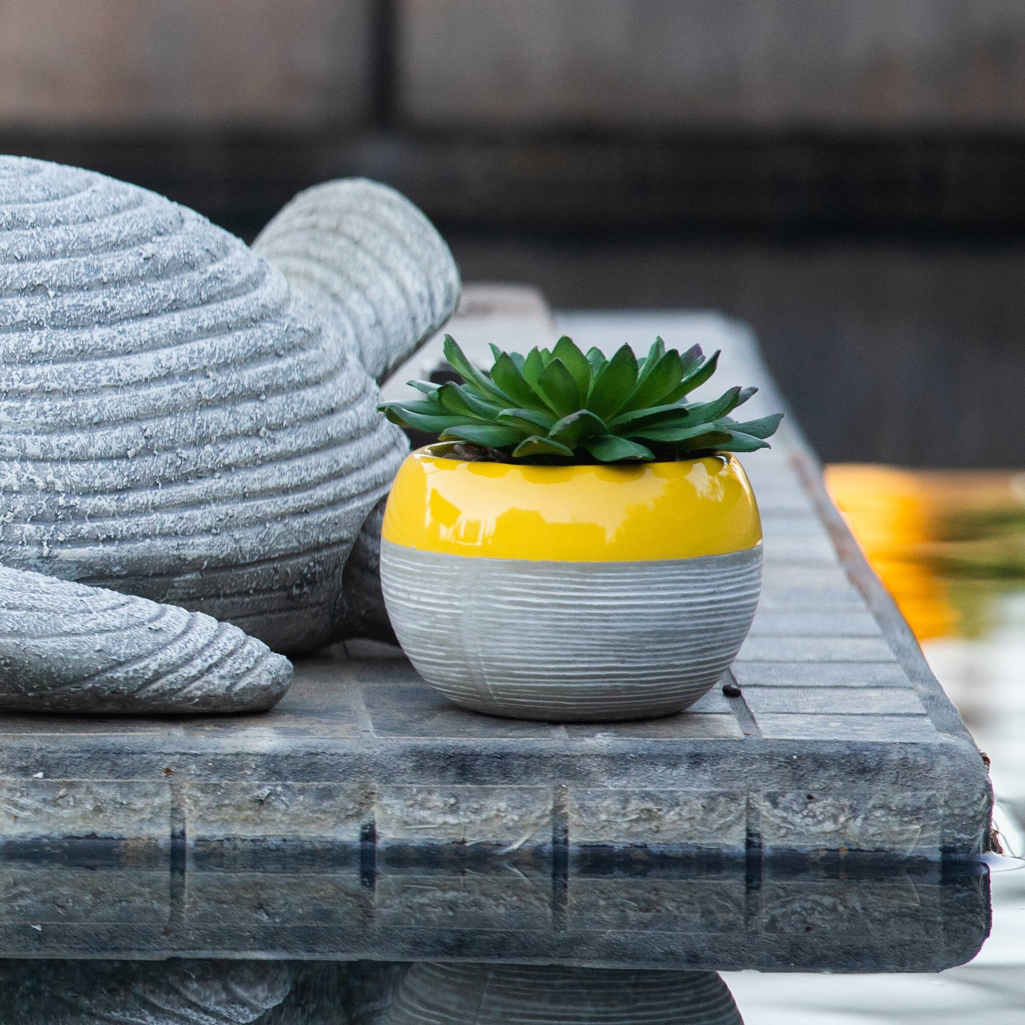 Flora Bunda® Succulent In Two Tone Pattern Yellow Ceramic Pot